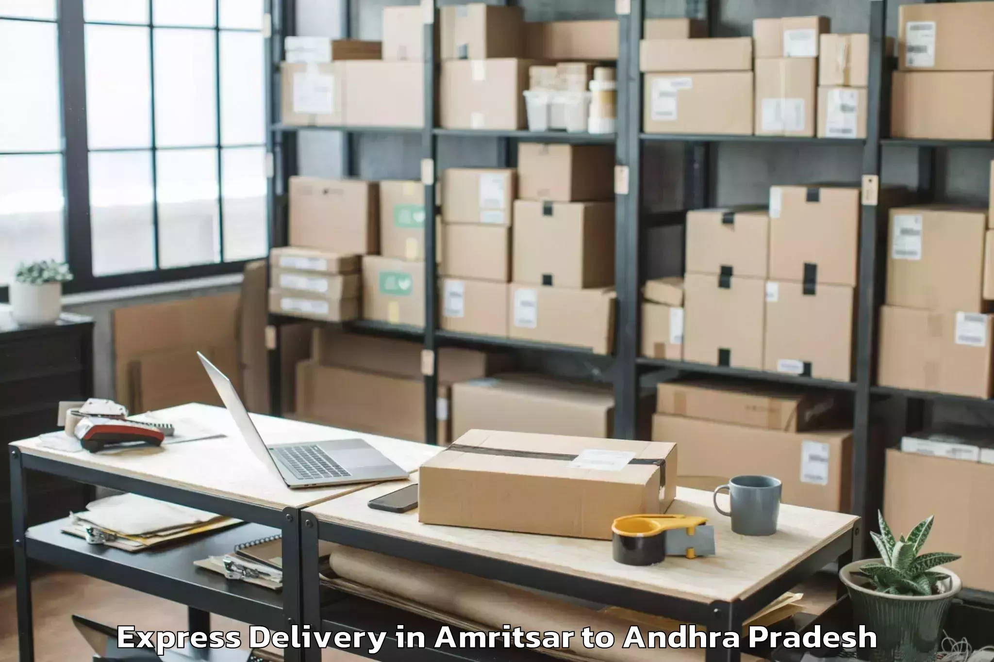 Reliable Amritsar to Kakinada Rural Express Delivery